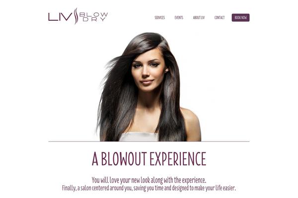 livblowdry.com site used Livblowdry
