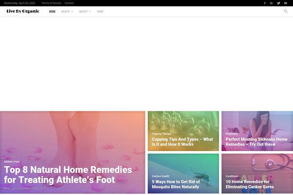 Newspaper theme site design template sample