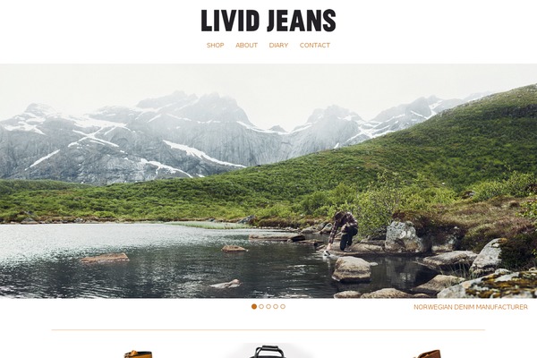 lividjeans.com site used Livid