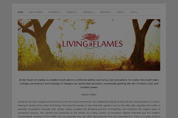 Tiny Forge theme site design template sample