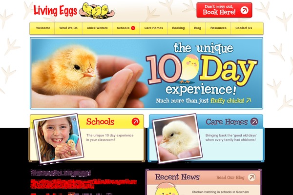 livingeggs.co.uk site used Livingeggs