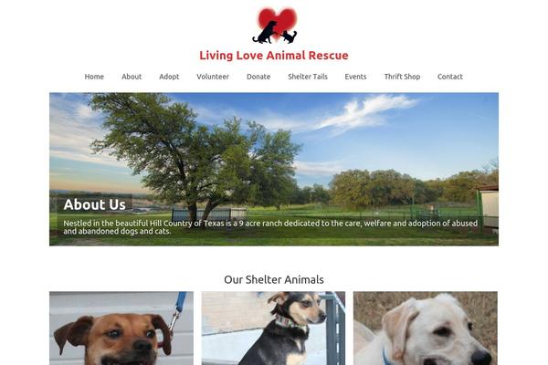 Virtue theme site design template sample