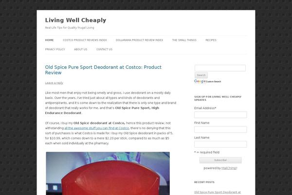 WordPress website example screenshot