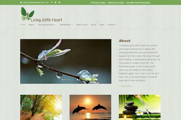 Divi Child theme site design template sample