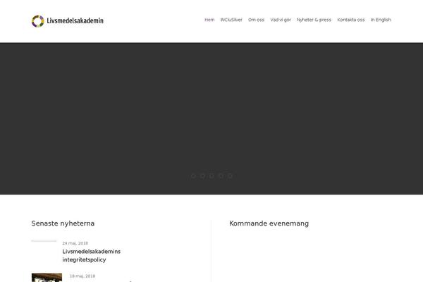 WordPress website example screenshot