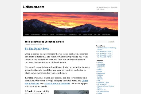 WordPress website example screenshot