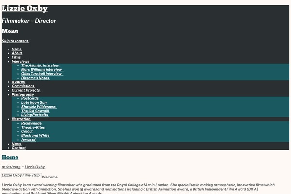 WordPress website example screenshot