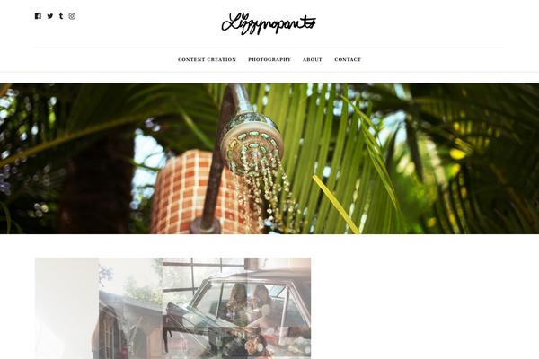 Photography theme site design template sample