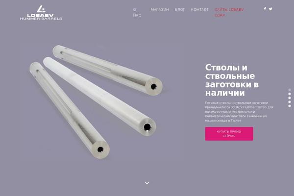 lobaevbarrels.ru site used Story