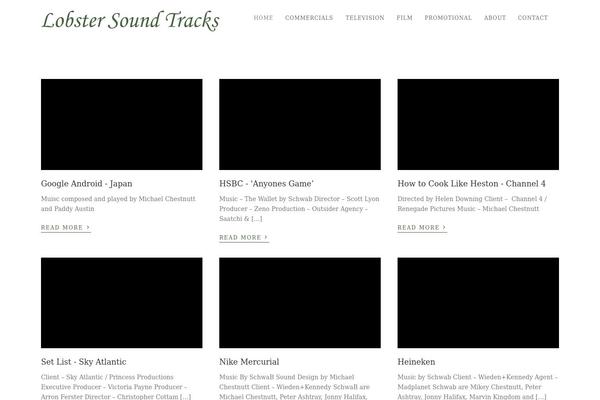 WordPress website example screenshot