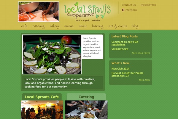 WordPress website example screenshot