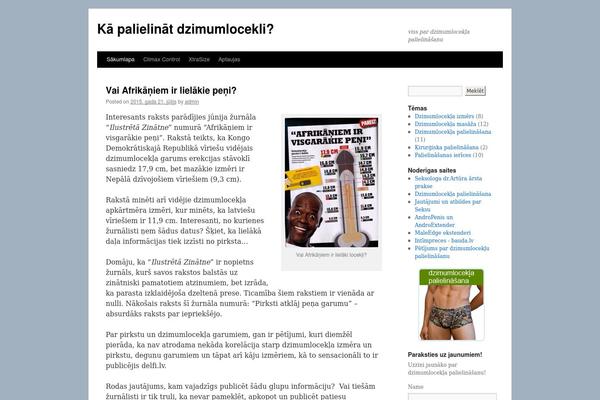 WordPress website example screenshot