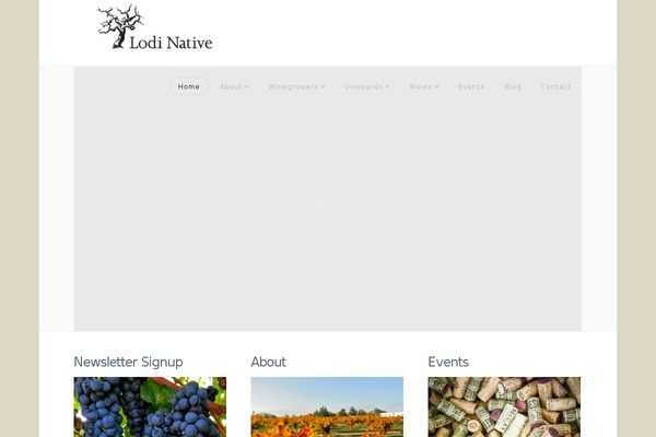 X | The Theme theme site design template sample