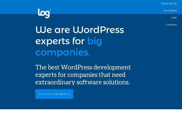 WordPress website example screenshot