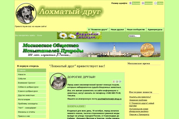 lohmatyi-drug.ru site used Default