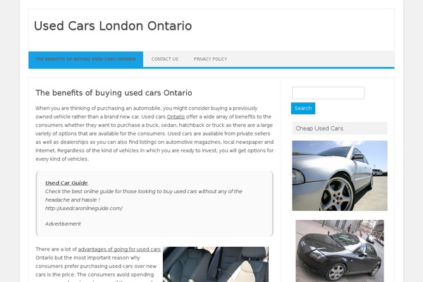 Iconic One theme site design template sample