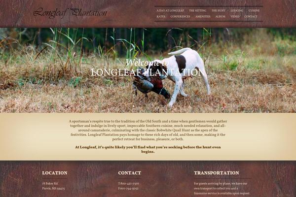 Divi theme site design template sample