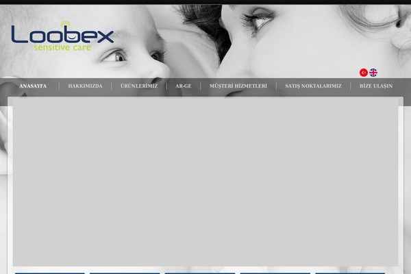 loobex.com site used Tema2