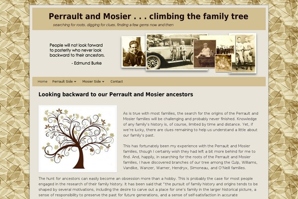 Weaver II pro theme site design template sample