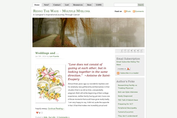 Misty Look theme site design template sample