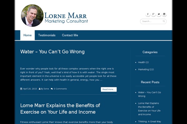 WordPress website example screenshot
