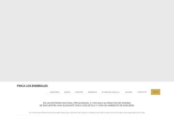 losenebrales.com site used Larx_v1.8.3