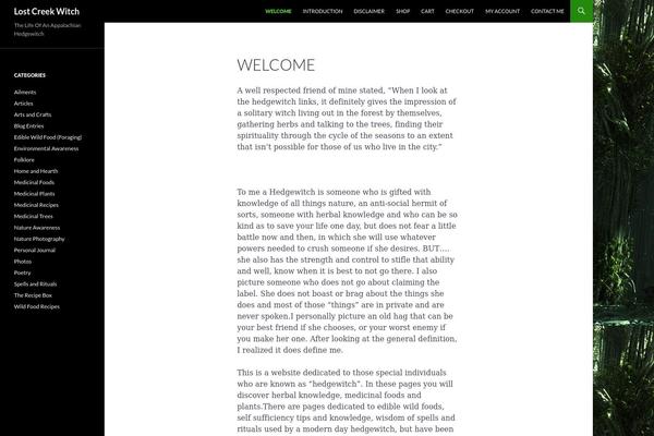 Site using Firestats1 plugin