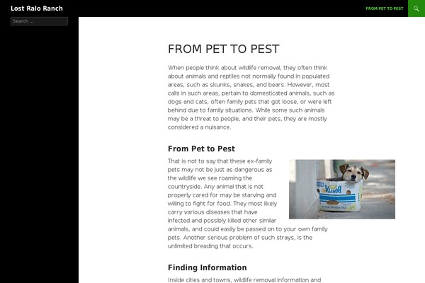 WordPress website example screenshot