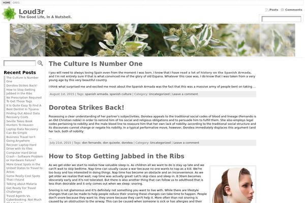 WordPress website example screenshot