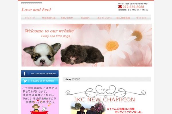 love-and-feel.com site used Theme141