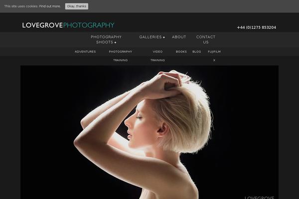 Divi theme site design template sample