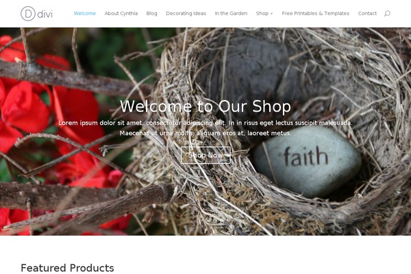 WordPress website example screenshot