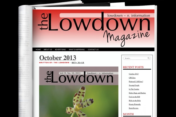lowdownzambia.com site used Fresh Ink Magazine