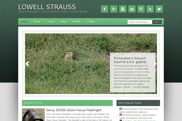 lowellstrauss.com site used Lowellstrauss