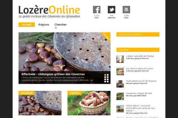 Gonzo theme site design template sample
