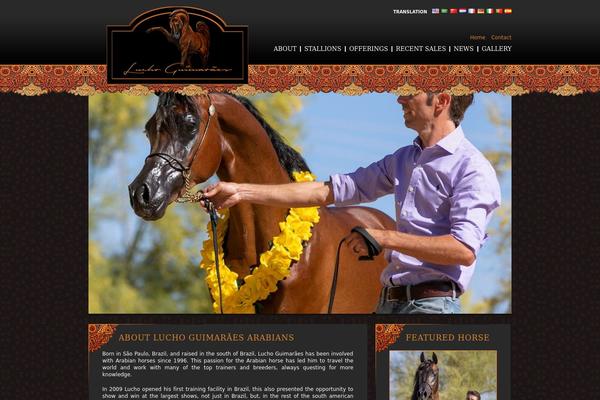 luchoguimaraesarabians.com site used Luchog