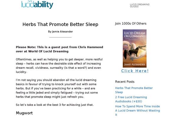WordPress website example screenshot