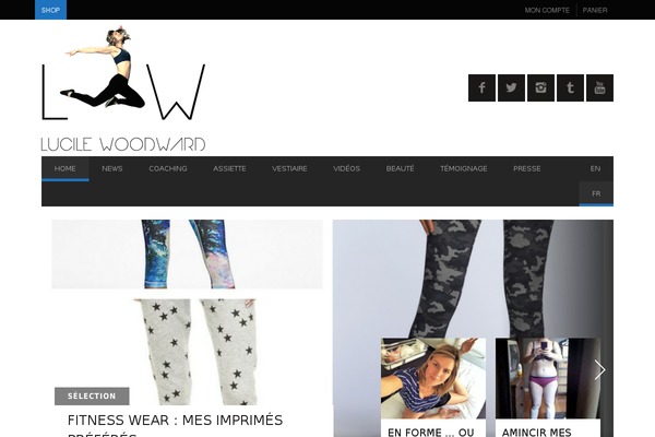 Site using Ajax-search-for-woocommerce plugin