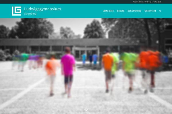 ludwigsgymnasium.de site used Enfold-child