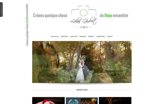 ProPhoto 5 theme site design template sample