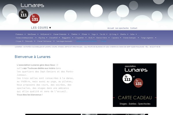 lunares.fr site used Lunares-theme