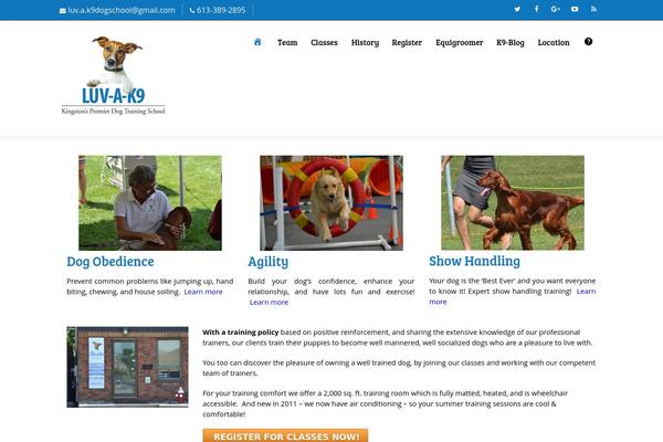 WordPress website example screenshot