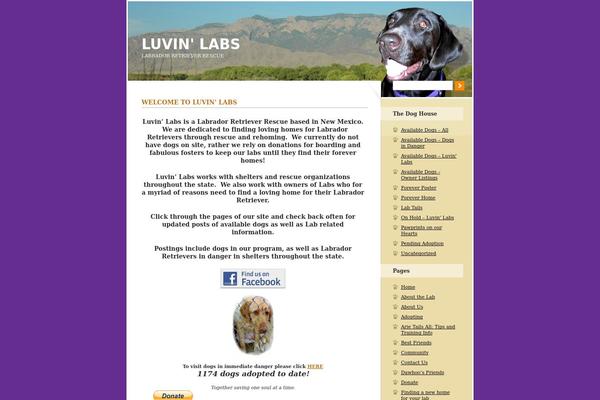 luvinlabs.com site used Labtheme-new