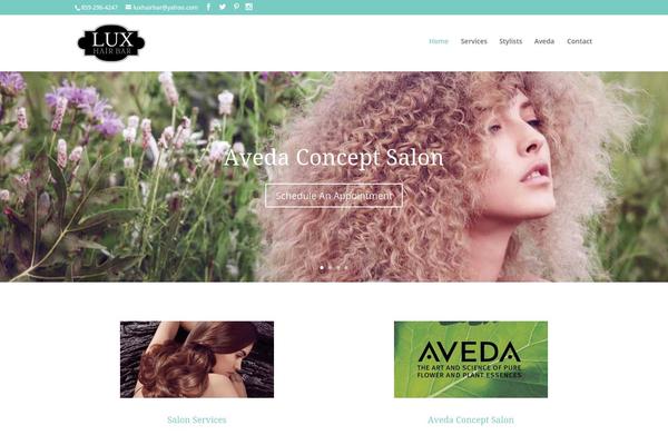 Divi theme site design template sample