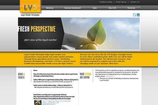 lvstrategies.com site used Lvs