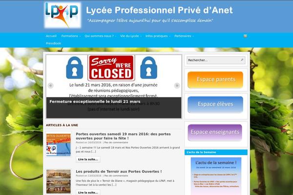 WordPress website example screenshot