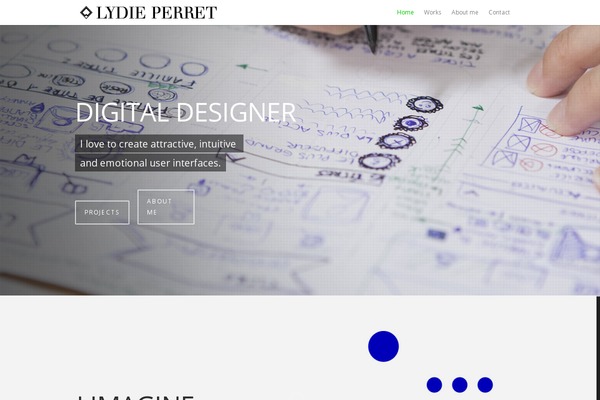 Salient theme site design template sample