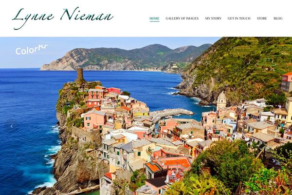 The7 theme site design template sample