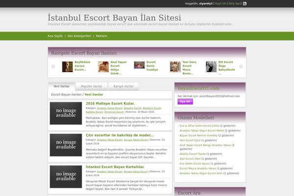 WordPress website example screenshot