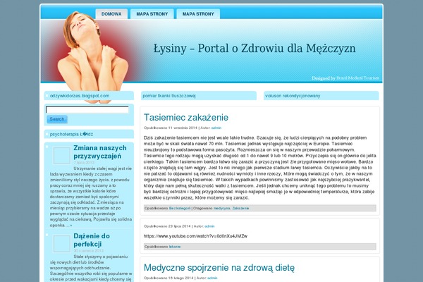 lysi.biz.pl site used Pain_wordpress_theme